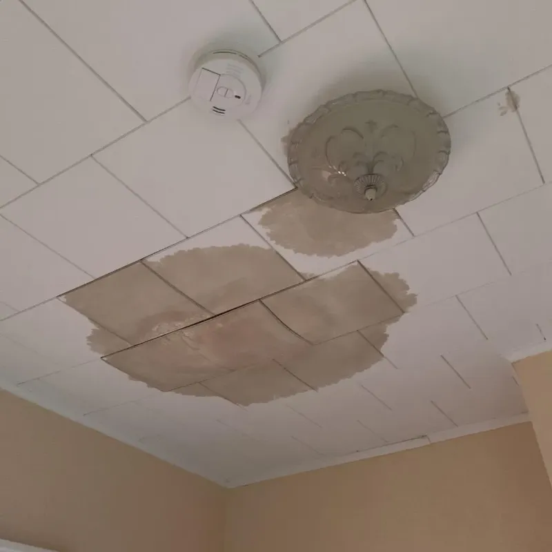 Ceiling Water Damage Repair in North Madison, OH