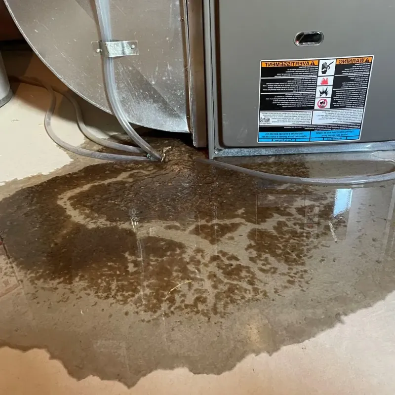 Pipe Burst and Leak Restoration in North Madison, OH