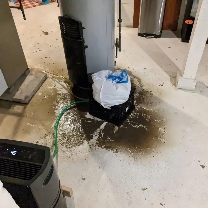 Sewage Backup Cleanup Service in North Madison, OH